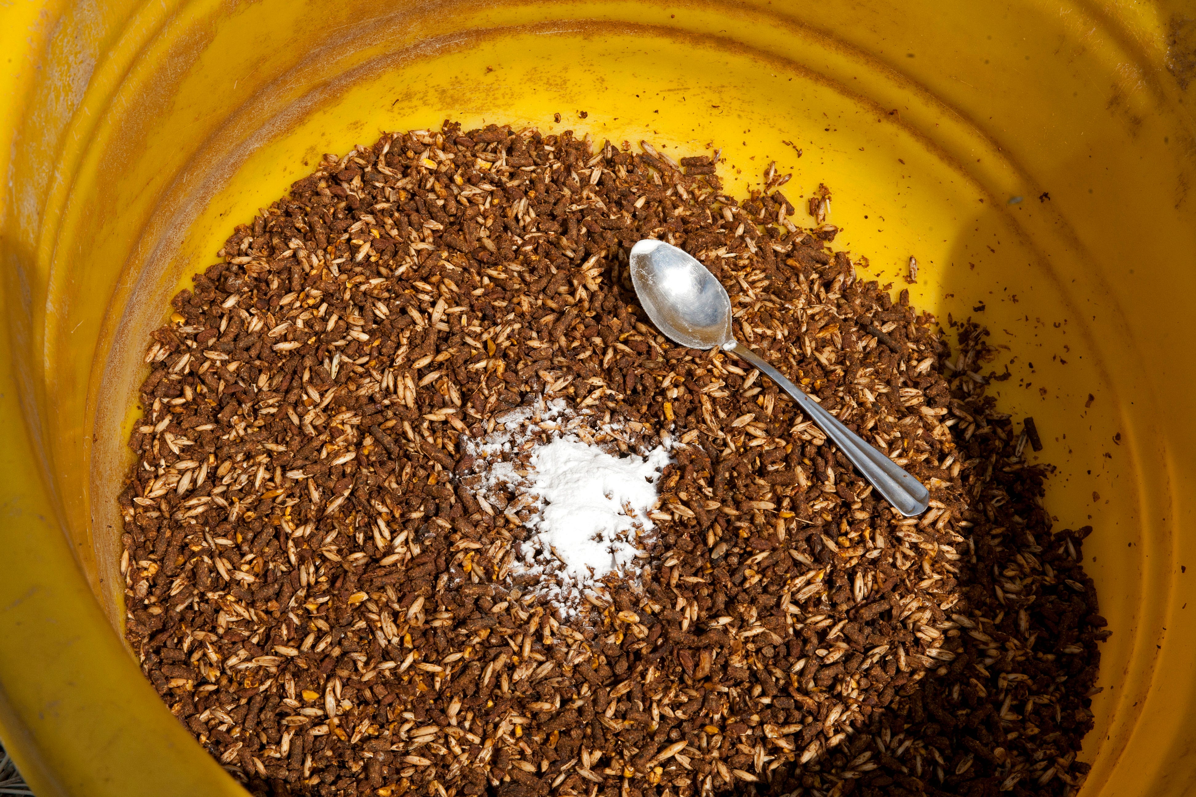 Horsemen feed baking soda for varying reasons